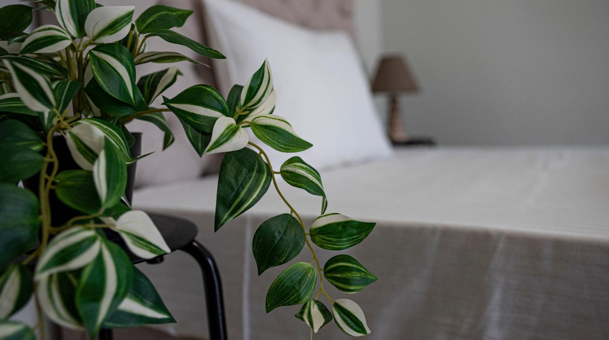 Nikitas Apartments & Suites Κανάλι Εξωτερικό φωτογραφία